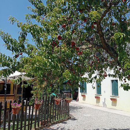 Appartamento Malcontenta Mira Exterior photo