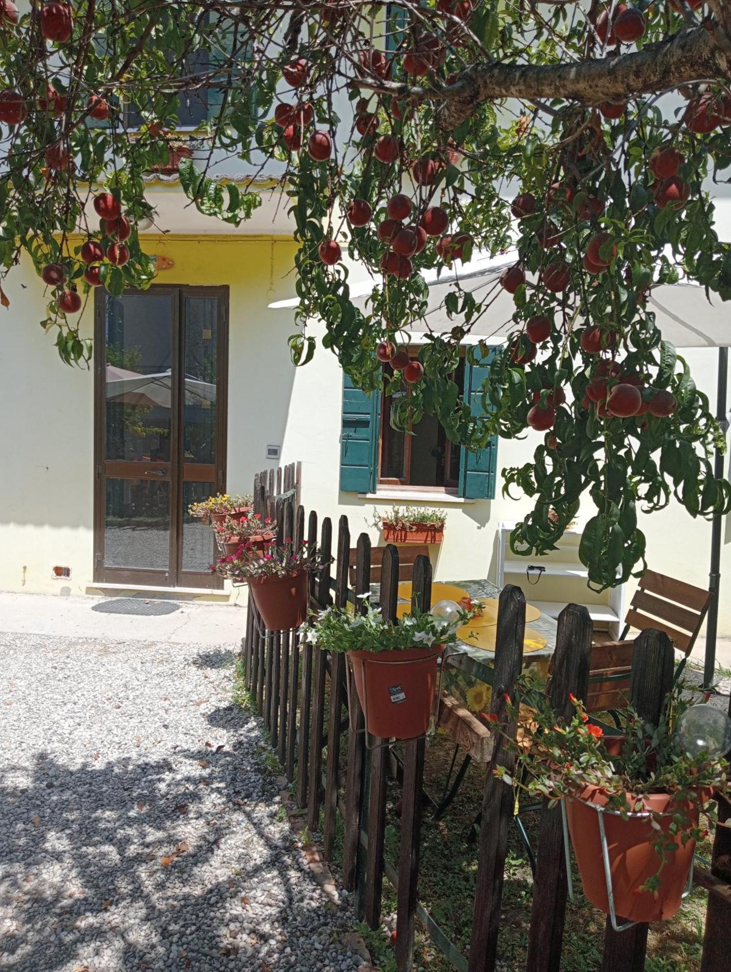 Appartamento Malcontenta Mira Exterior photo