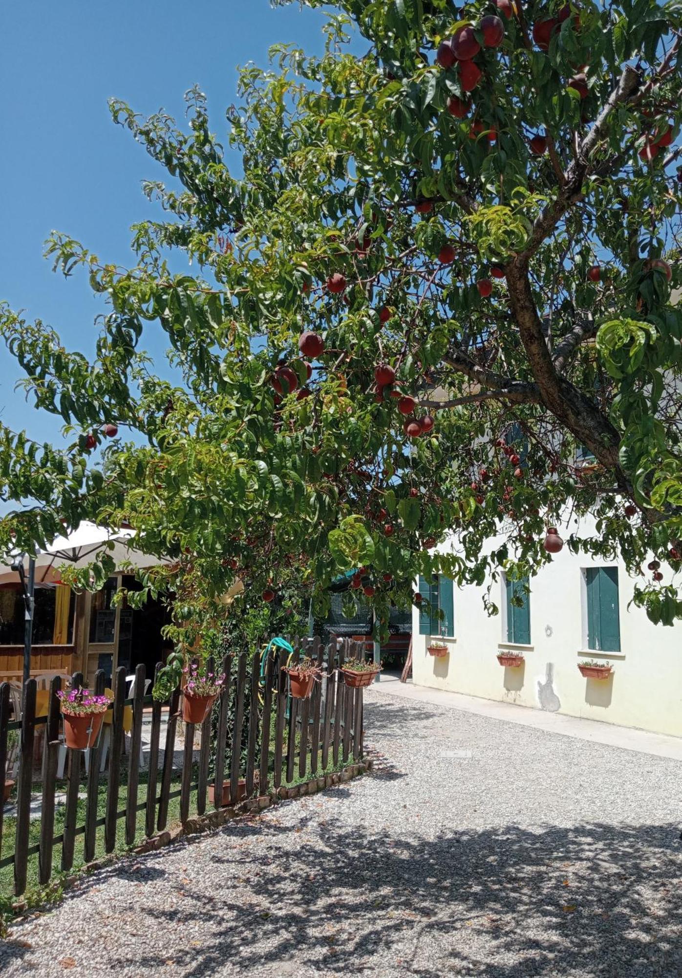 Appartamento Malcontenta Mira Exterior photo